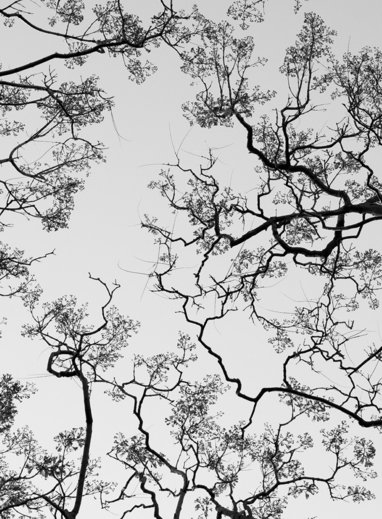 screen shot 2025 10 01 at 1.10.34 am